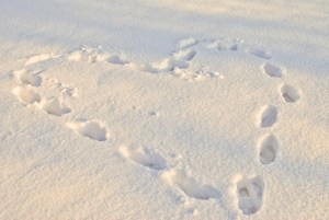 ????????????????????????????????????????????????????????????????????