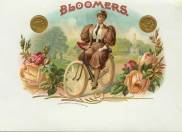 Bloomers