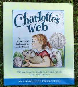 Listen to audio books read aloud by the author.