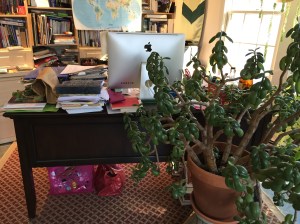 If clutter is in neat piles, does it count? Believe it or not, each pile has a theme.